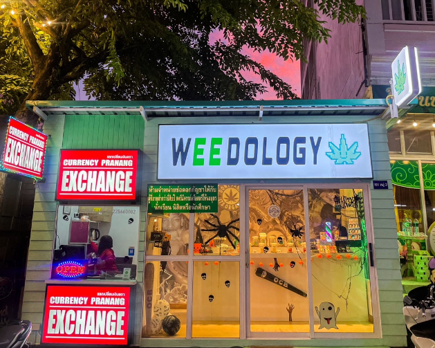 Weedology Cannabis Culture Aonang | cannabis aonang